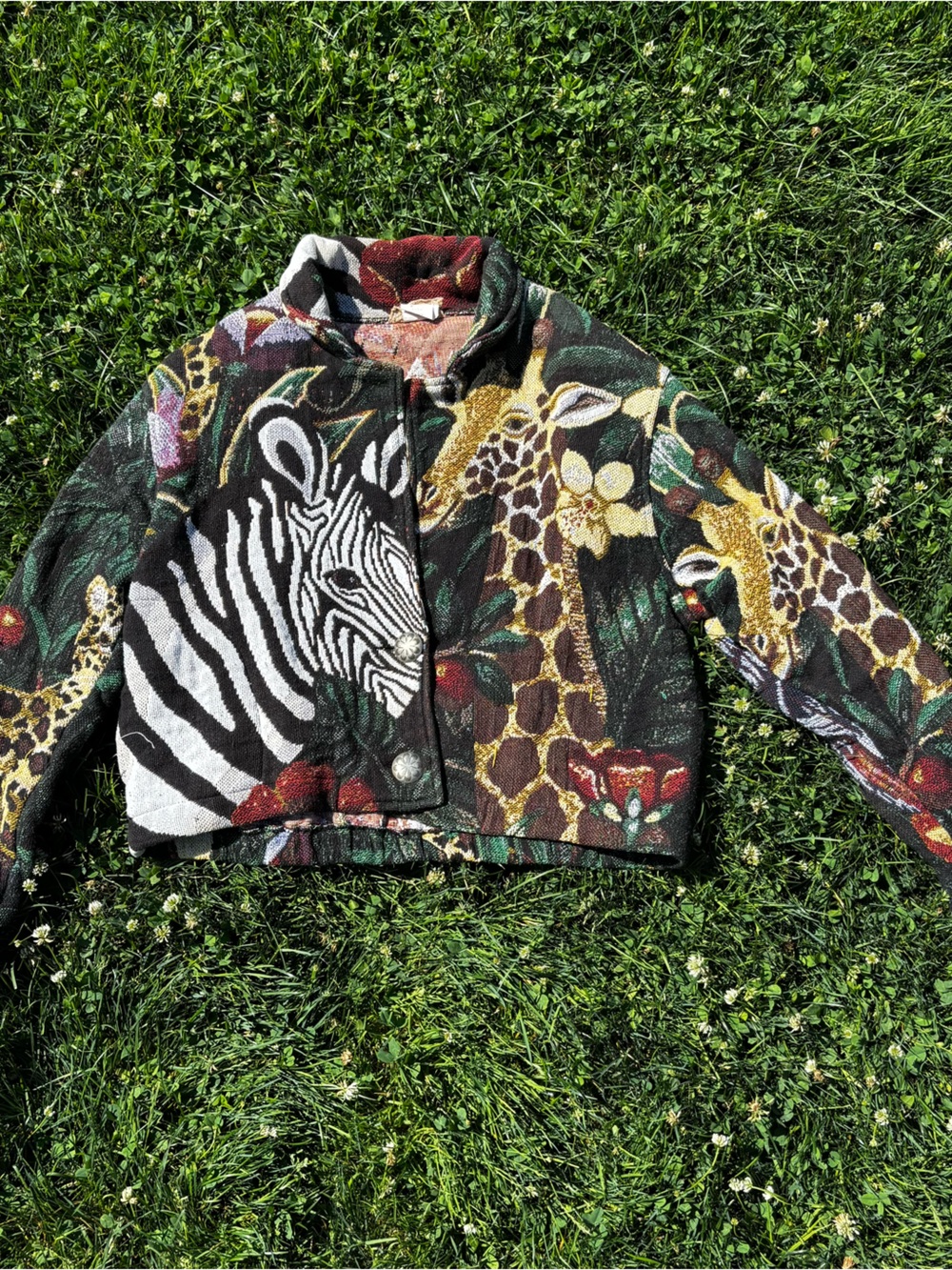 Painted Pony Bold Multicolor Animal-Print Cropped Jean Jacket